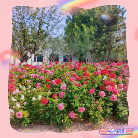 b087b2896689d9aee91c96ff6cccf4cb.jpg