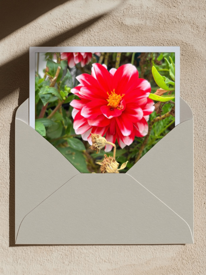 IMG_7088.jpeg
