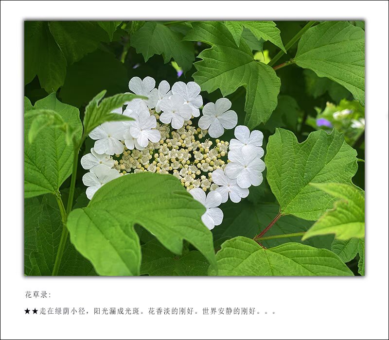 26C651D9-C499-456B-9D43-0F3B05CAAC79.jpeg