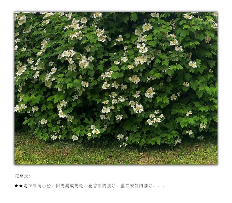 B28C5DC2-79E6-4695-B421-E93A73C2B1C8.jpeg