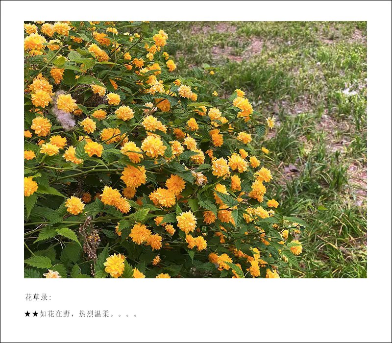 024411CD-FA49-4AFC-A940-AB34B8BBAA63.jpeg