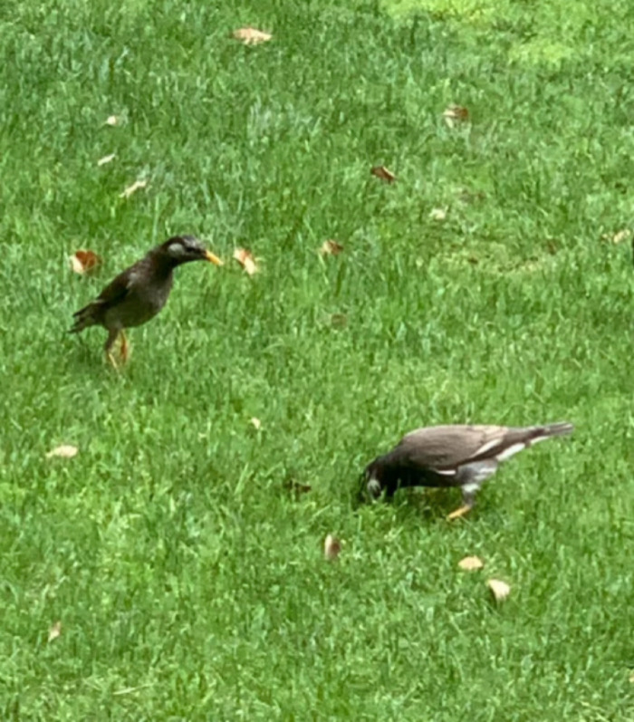 IMG_7104.jpeg
