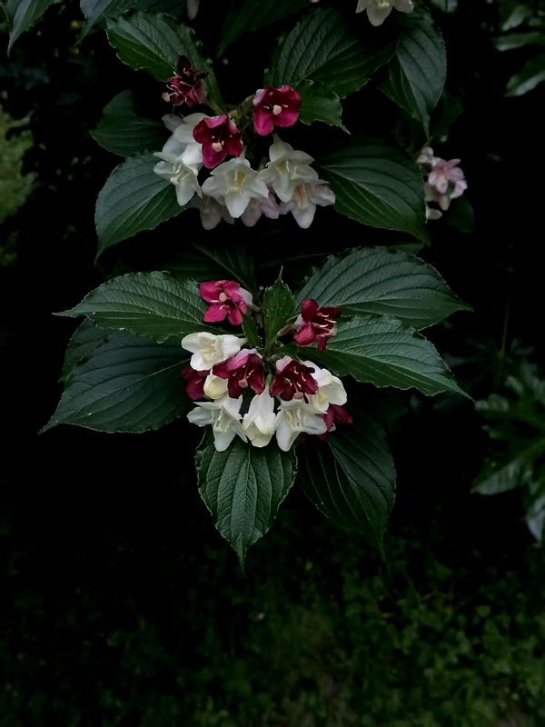 ΢��ͼƬ_20260509160404.jpg