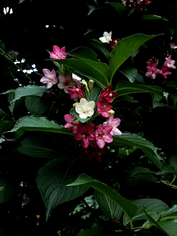 ΢��ͼƬ_20260509160411.jpg