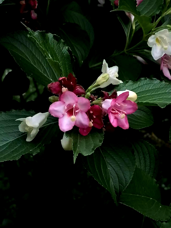 ΢��ͼƬ_20260509160422.jpg