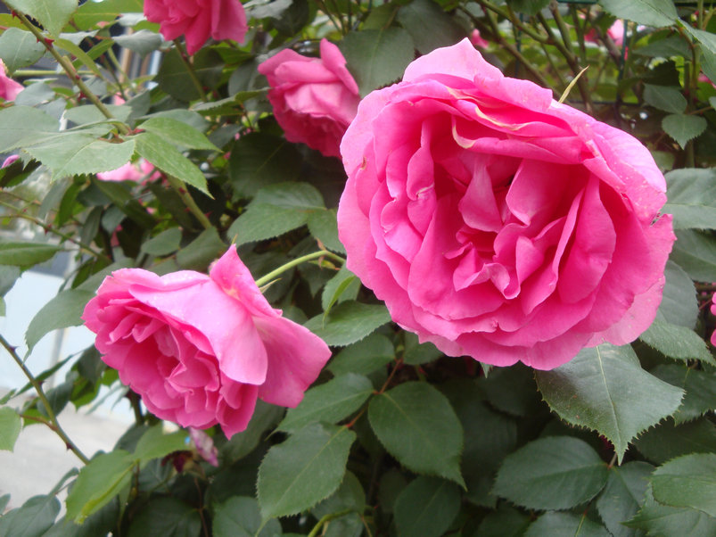 12.JPG