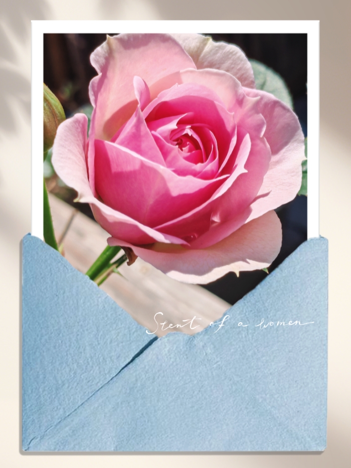 MEITU_20260517_165233508.jpg