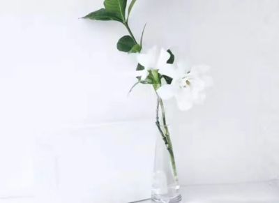 6da67d24a8f53229a93acd4a756aff72eb0e14d350dfbab9cb37db3912dd6734.0.JPG