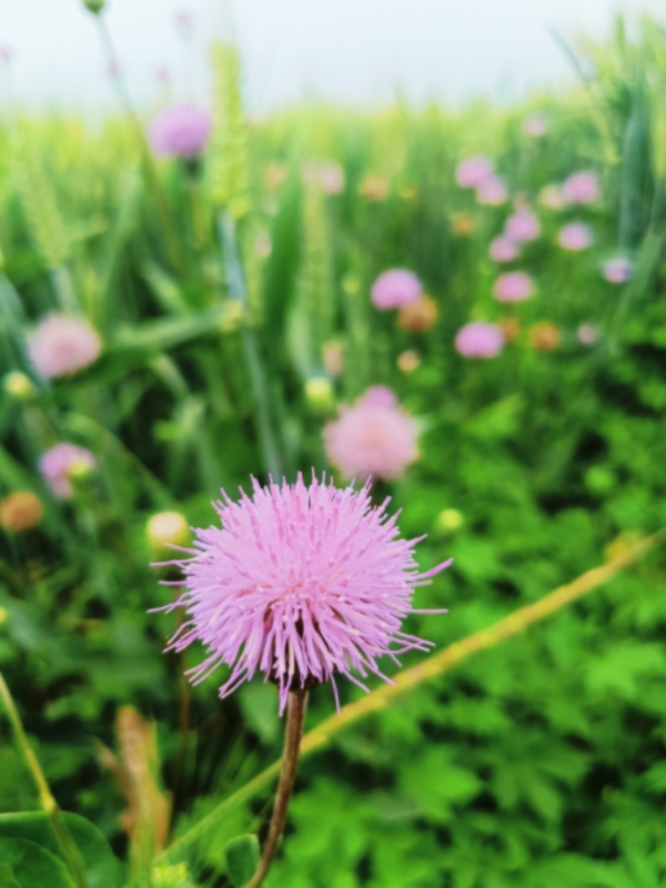 MEITU_20260518_130118112.jpg
