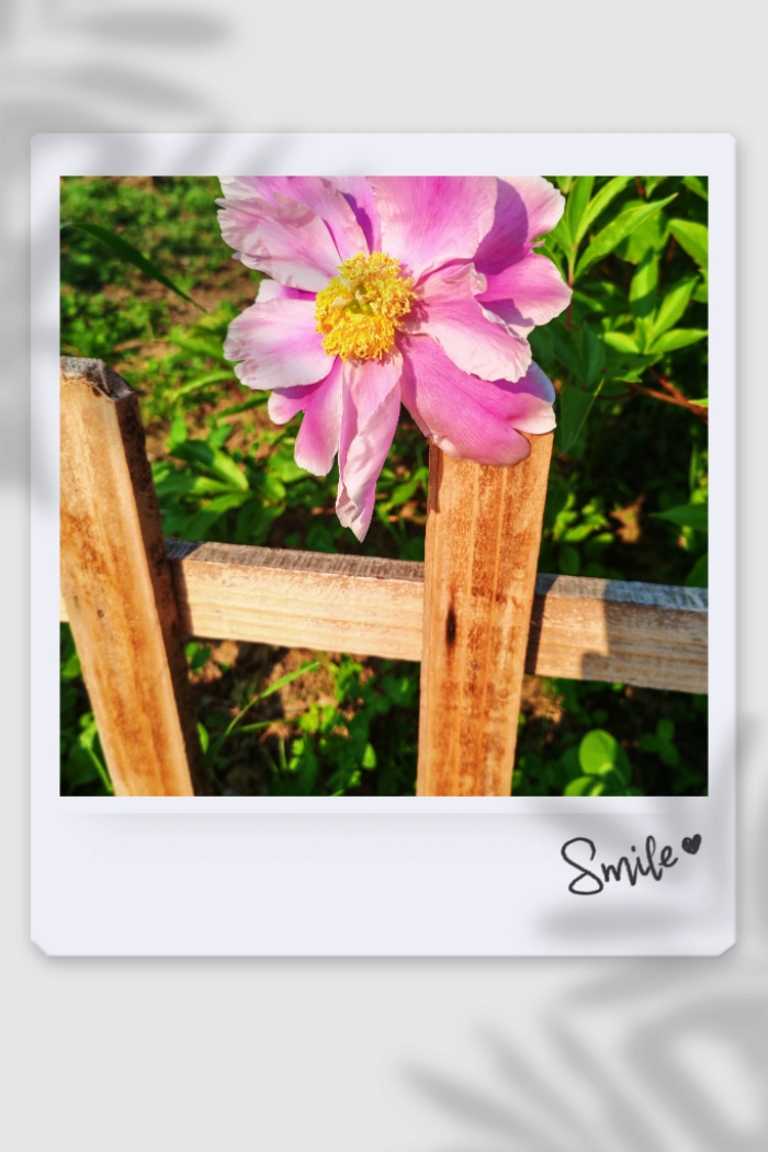 MEITU_20260518_165355795.jpg