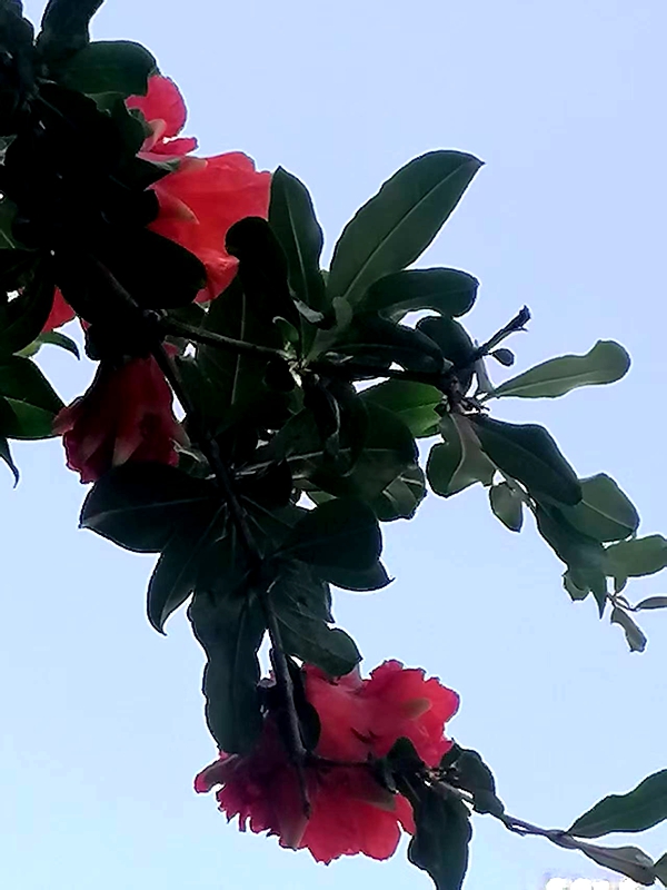 ΢��ͼƬ_20260515190509.jpg