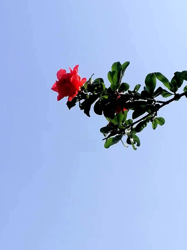 ΢��ͼƬ_20260515190512.jpg