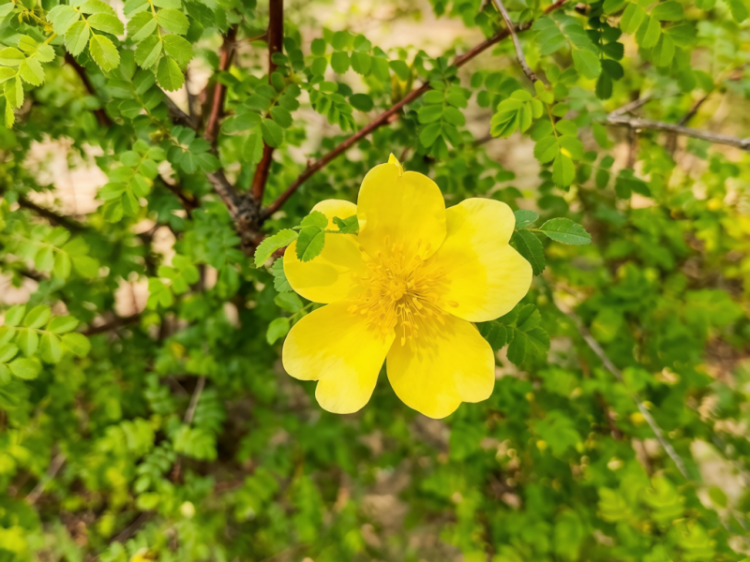 ff857b167e325da6cc6a77e9dc90b4a3.png