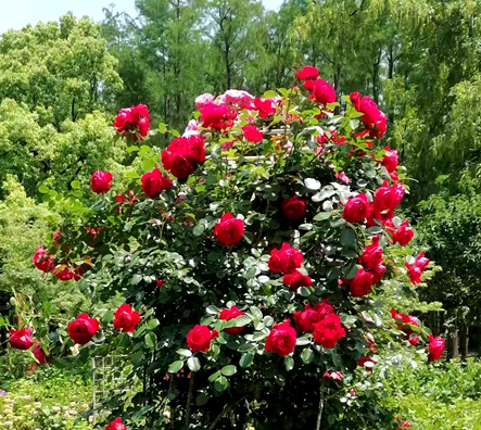 ΢��ͼƬ_20260515190358.jpg