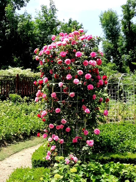 ΢��ͼƬ_20260515190351.jpg