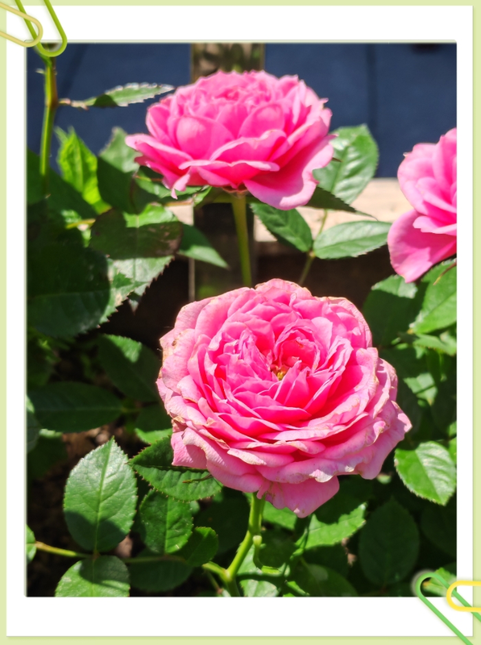 MEITU_20260519_214801119.jpg