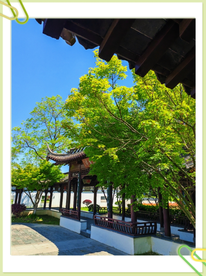MEITU_20260519_214509064.jpg