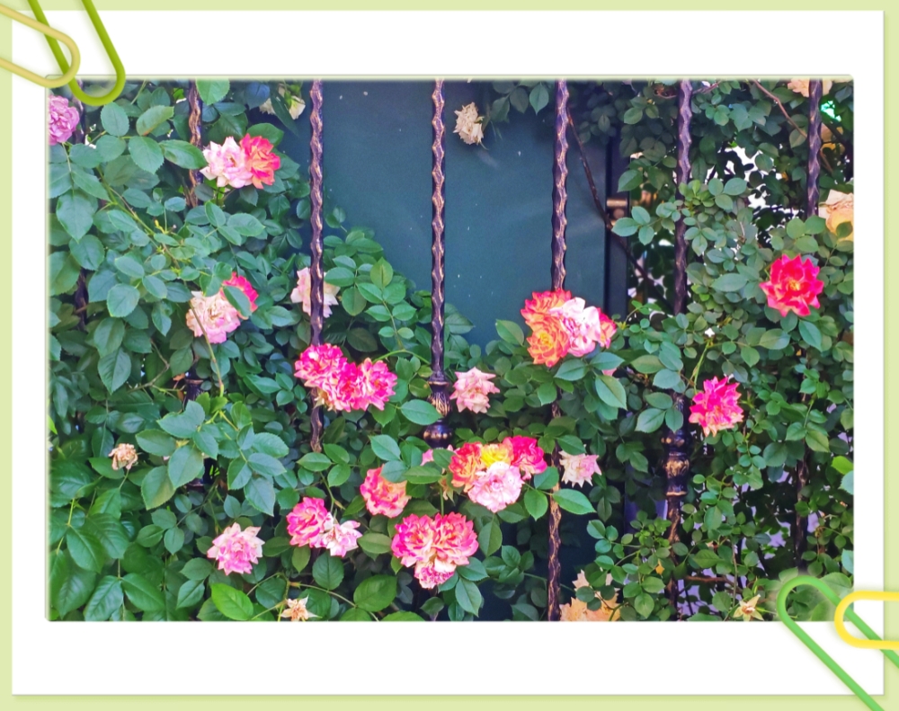MEITU_20260519_214704486.jpg