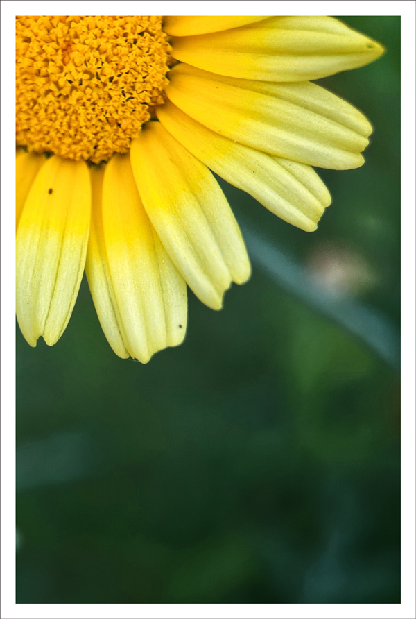 B6.jpg