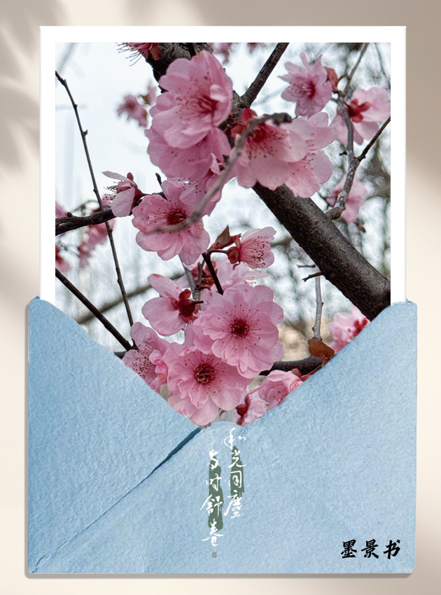 ΢��ͼƬ_20260520105626_399_311.jpg