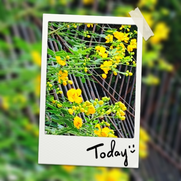MEITU_20260520_131625903.jpg