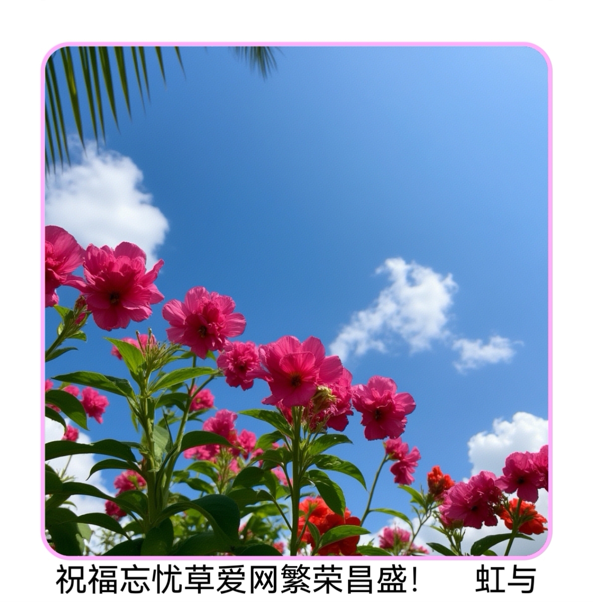 MTXX_IMG_20260520_22214497.jpg