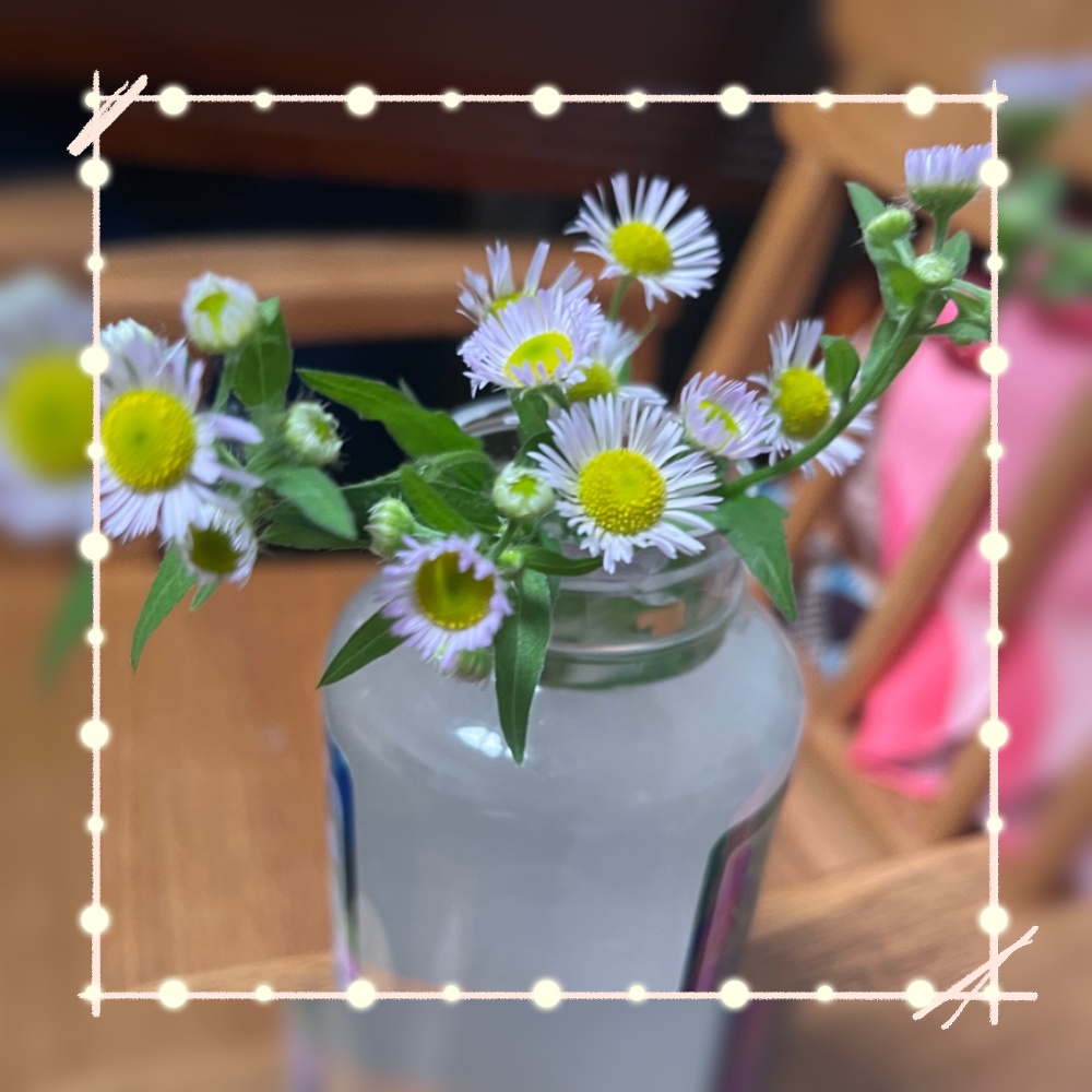 ΢��ͼƬ_20260523082124_����.jpg