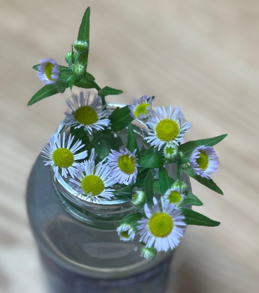 ΢��ͼƬ_20260523082153_����.jpg