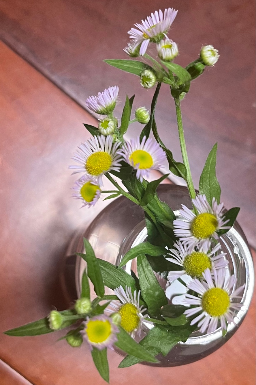 ΢��ͼƬ_20260523082155_����.jpg