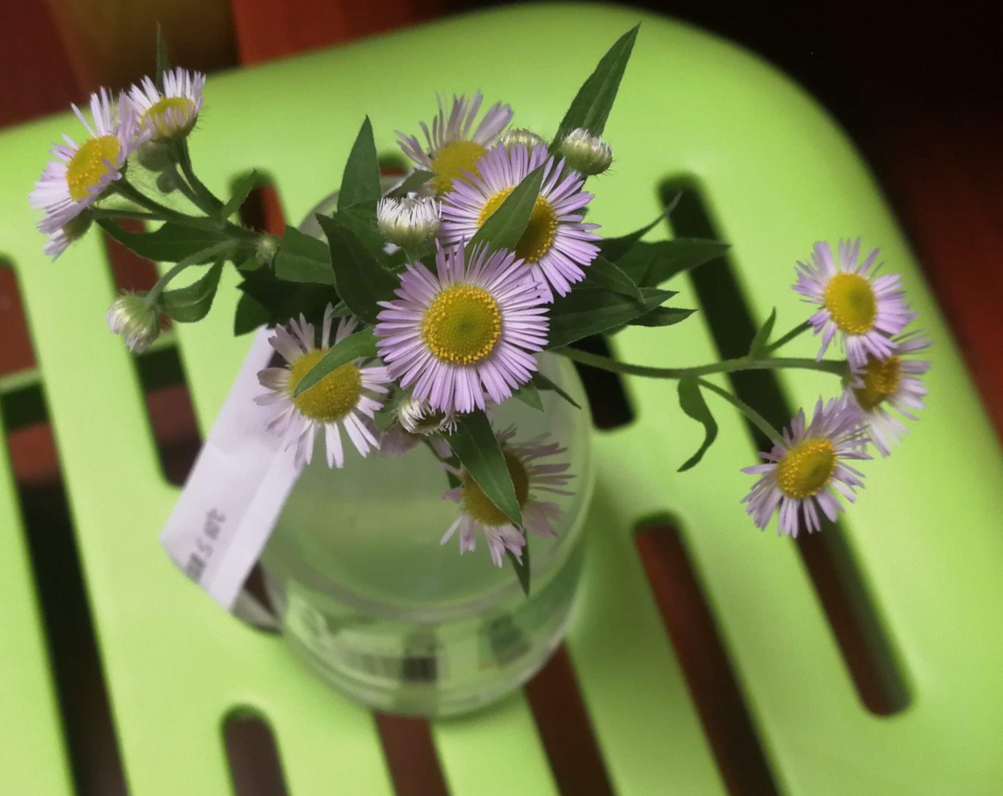 ΢��ͼƬ_202605232019171.jpg