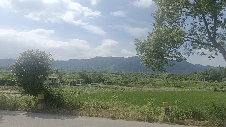 IMG_20260524_071923.jpg