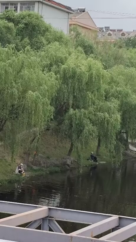 997E84169C4EE480F2DE0FACDD4965CE.jpg