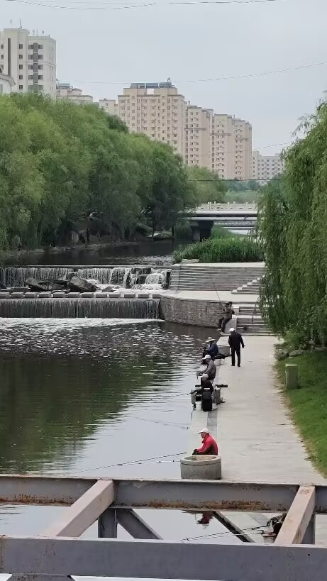 042628DB897C1C8D3B27570D908FE73C.jpg