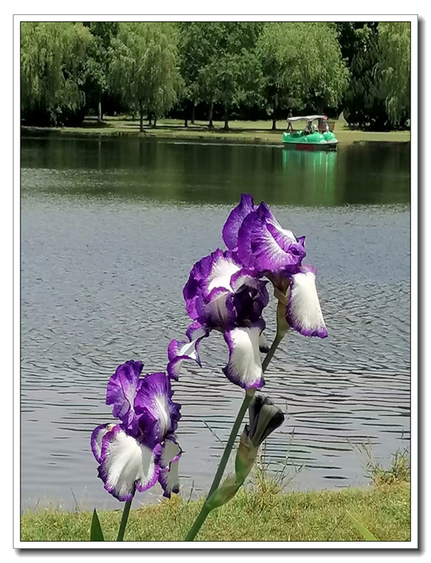 ΢��ͼƬ_20260524181417.jpg