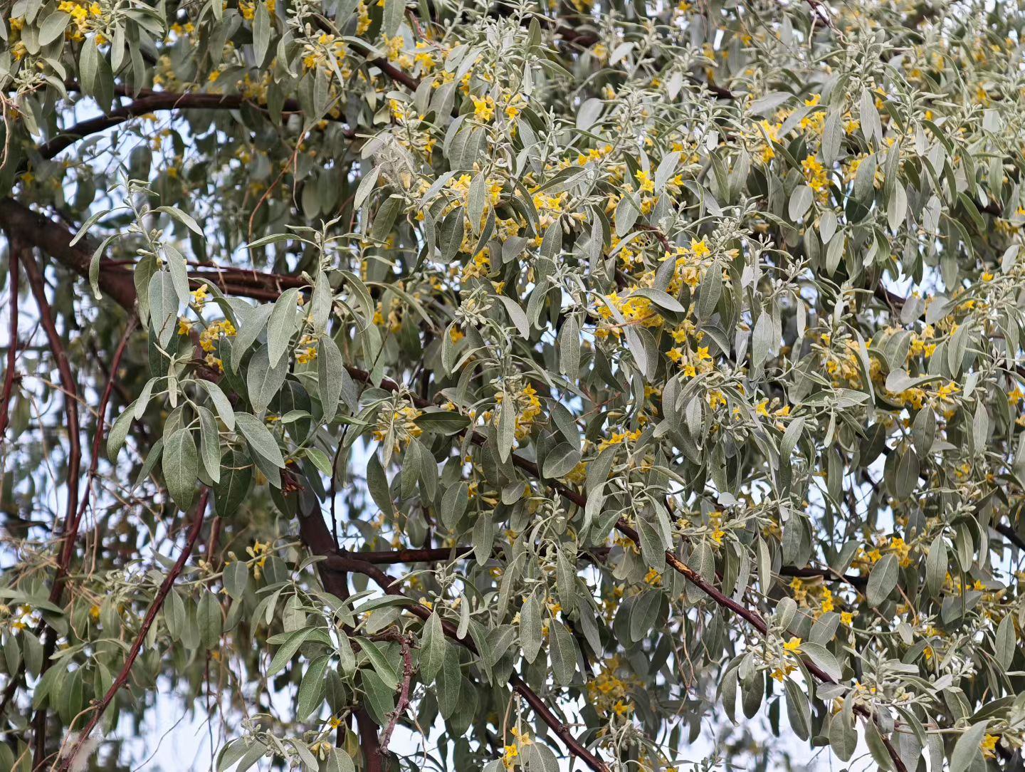 image_1779672100284.jpg