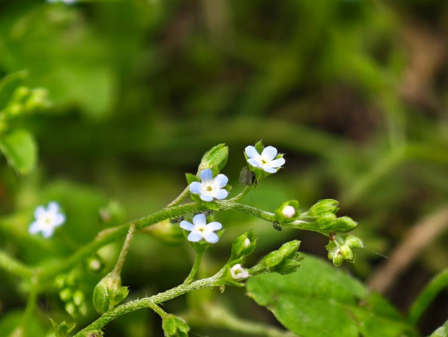 image_1779761082556.jpg