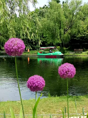 ΢��ͼƬ_20260524181633.jpg