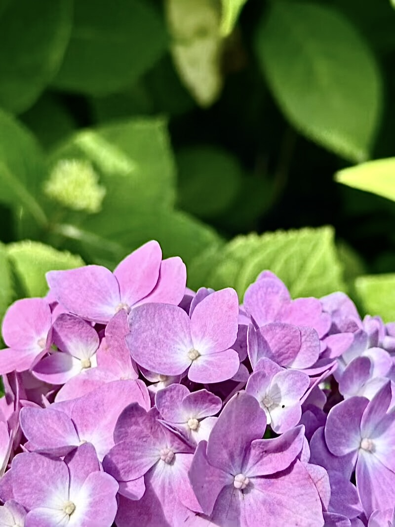 IMG_1613.jpeg
