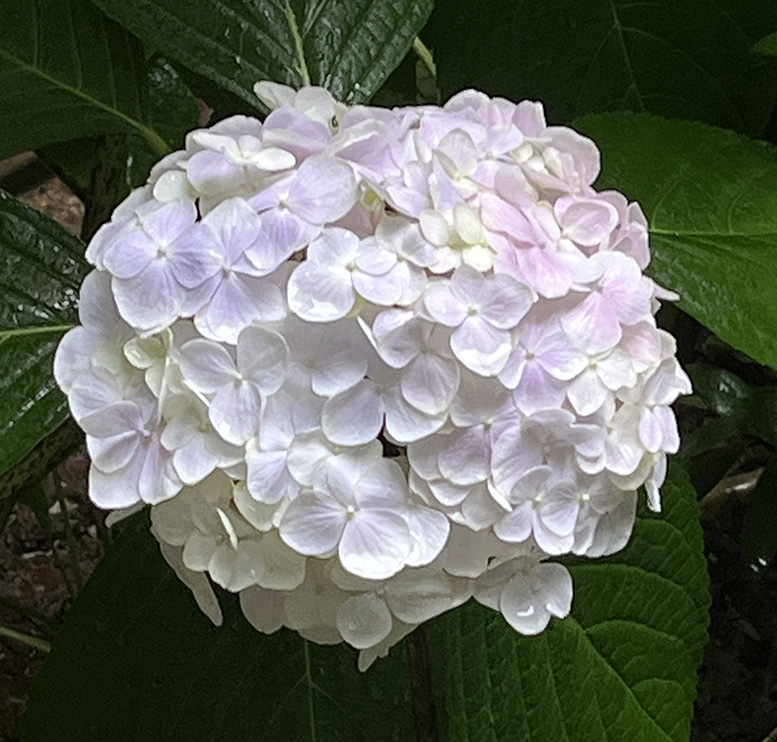 ΢��ͼƬ_20260527212210.jpg
