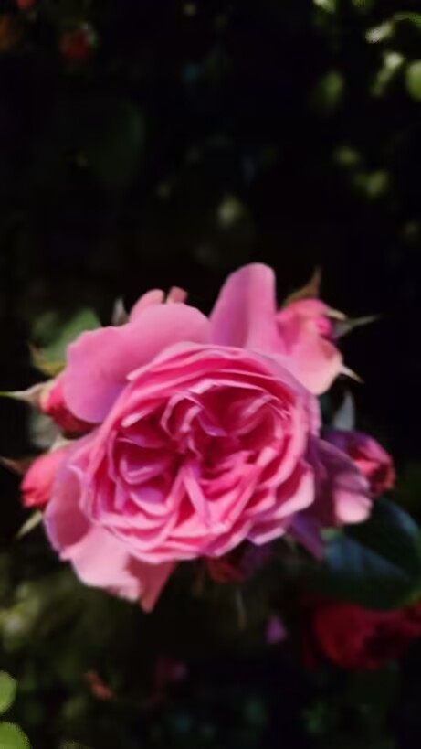 B13020A64369DB3D9CC7991C4FE2AA5C.jpg