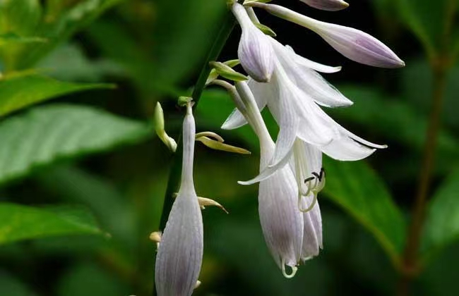 image_1779946187595.jpg