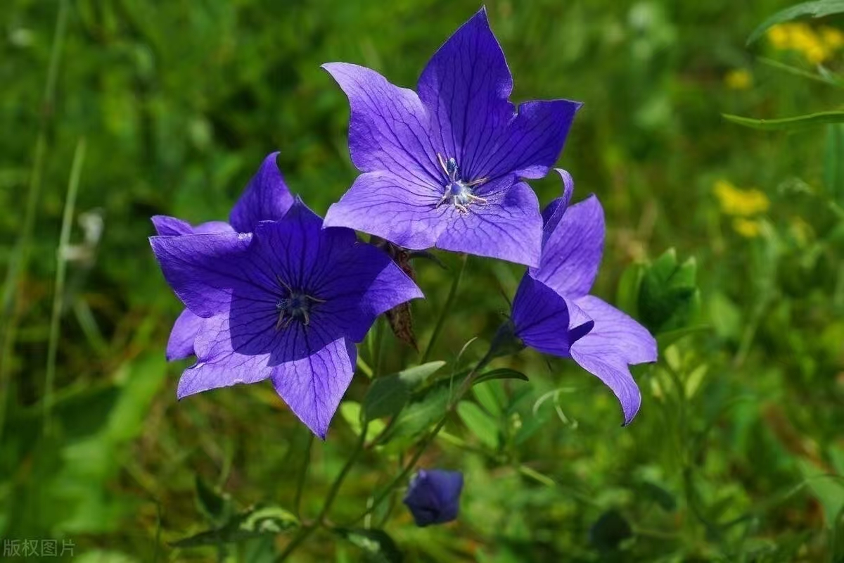 image_1779946317316.jpg