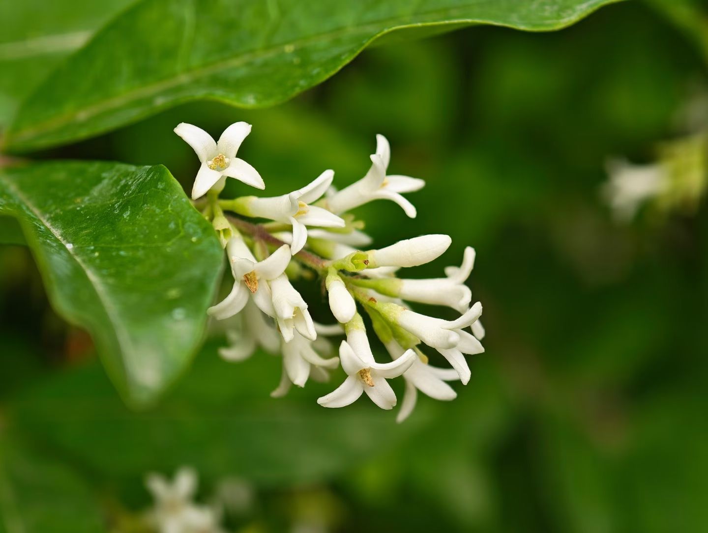 image_1779956620717.jpg