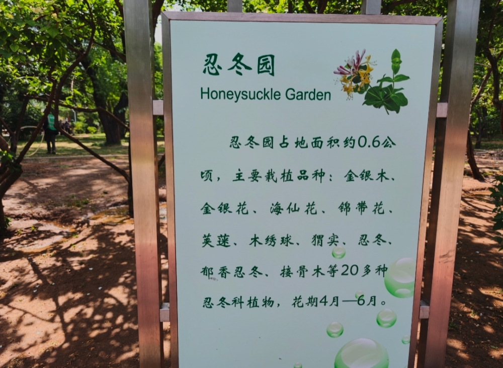 MEITU_20260529_085829730.jpg