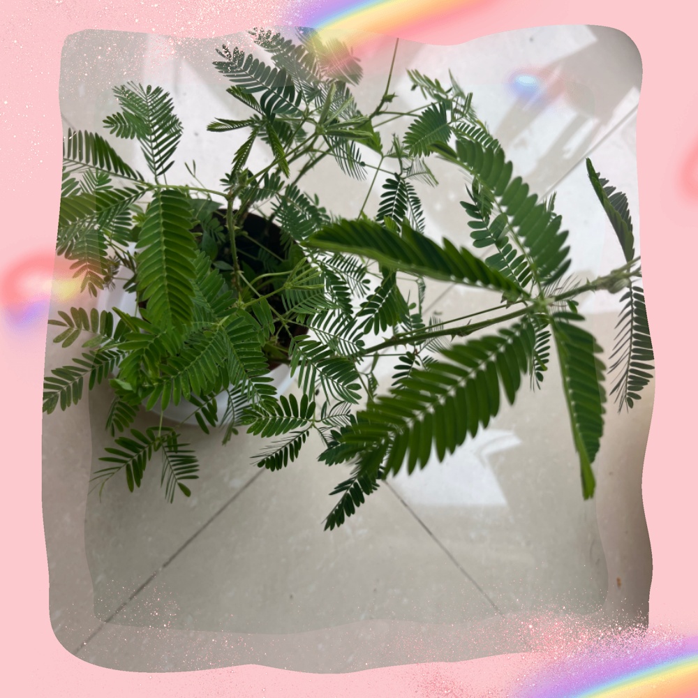 ΢��ͼƬ_20260528165228_����.jpg