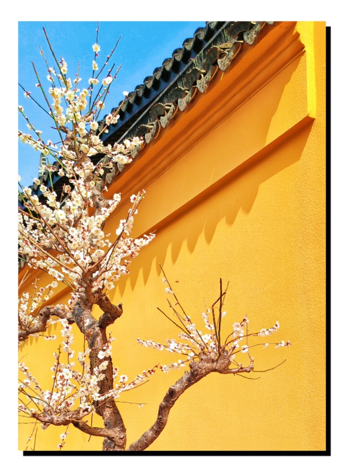 MEITU_20260529_134711347.jpg
