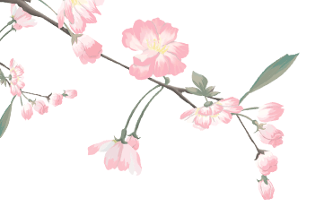 37.gif