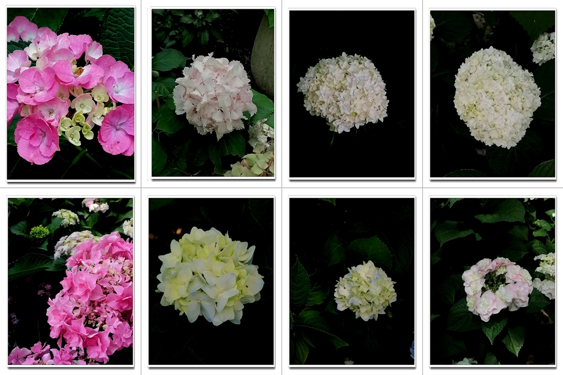 ΢��ͼƬ_20260531085453.jpg