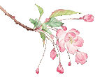 141319ue4ed9edr3ehd9ze.gif
