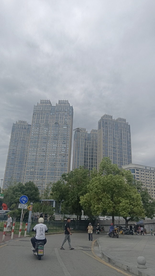 IMG_20260531_112205.jpg